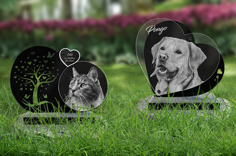 plaque funéraire animaux chat et chiens
