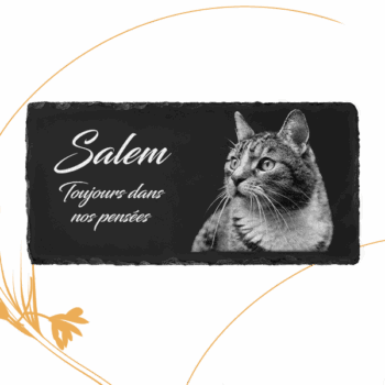 plaque funéraire ardoise chat